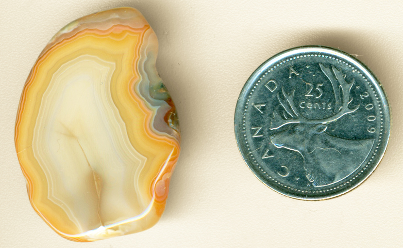 White and gold pattern in a freeform polished Moctezuma Agate from Mexico, with details of red and green.