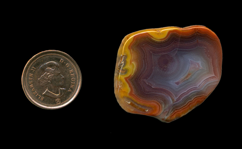 A freeform polished Fortification Agate from Mexico, with a rim of bright yellow around the outer edge, followed by orange, then purple and blue toward the center, all strong and bright.