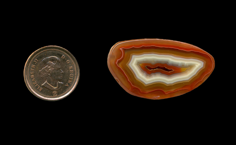A polished freeform Fortification Agate from Mexico, with concentric patterns of white, red and a little yellow, all extending deeply into the stone.