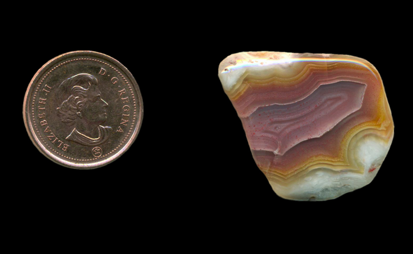 Freeform polished Fortification Agate from Mexico, with a center of light purple and an outer layer of yellow, fading into white at the edges, the former being bordered with a raised rim.