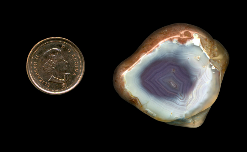 Freeform polished Fortification Agate from Mexico, with a violet blue spot over a white background.