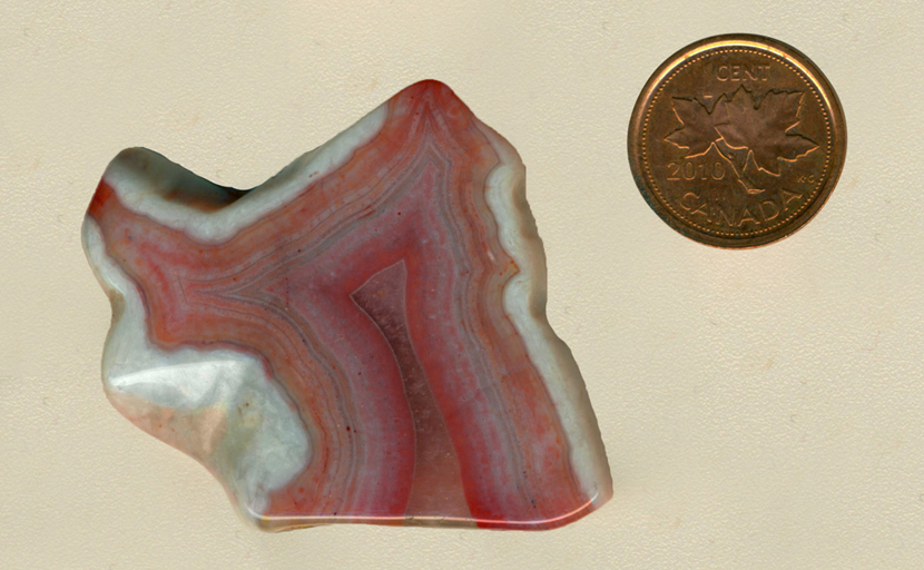 Freeform polished Coyamito Agate from Mexico, with a purple, pink and red interior and a white outline.