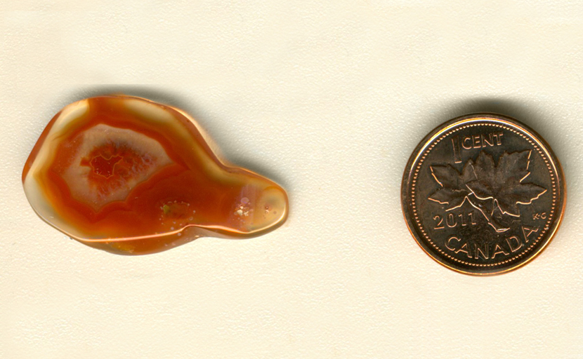 Freeform polished Coyamito Agate from Mexico, eye-shaped with two concentric orange patterns in a translucent agate medium.