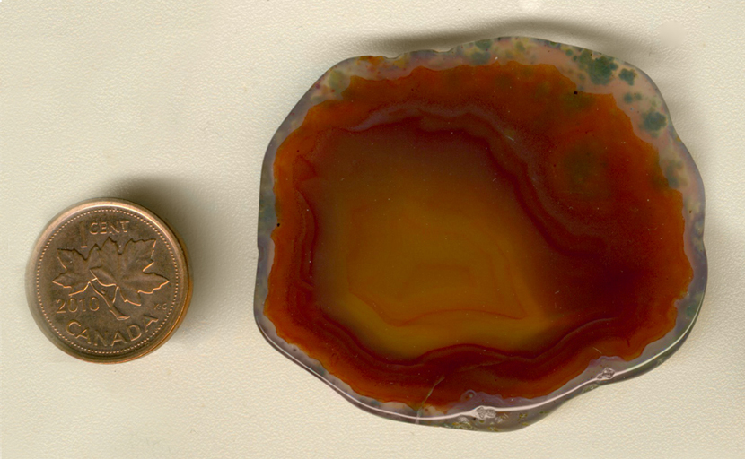 Freeform polished Laguna Agate from Mexico, with a bronze color and translucent center, with faint concentric fortification lines and green moss around the outside.