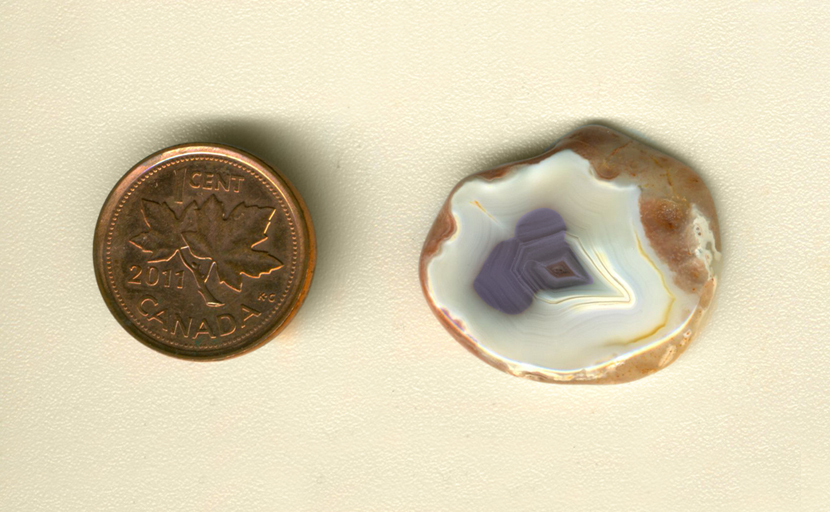 Freeform polished Fortification Agate from Mexico, with a central deep violet spot and bright white fortification patterns.