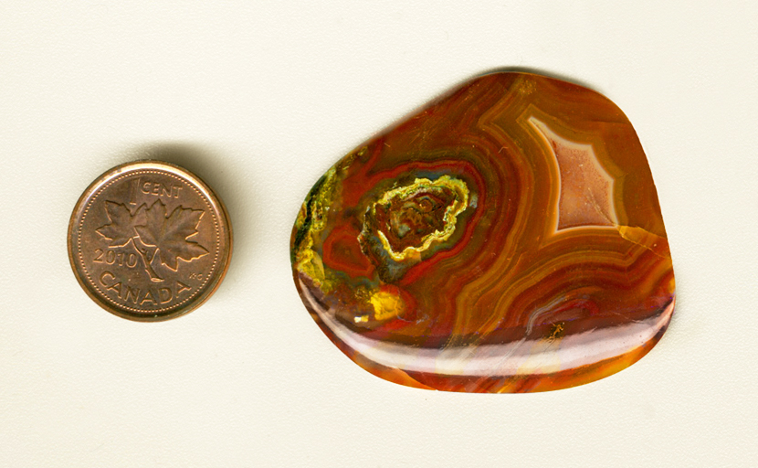 Freeform polished Laguna Agate cabochon from Mexico, with a bright yellow and red pattern on the right, and muted reds, browns, and pinks on the rest of the surface.