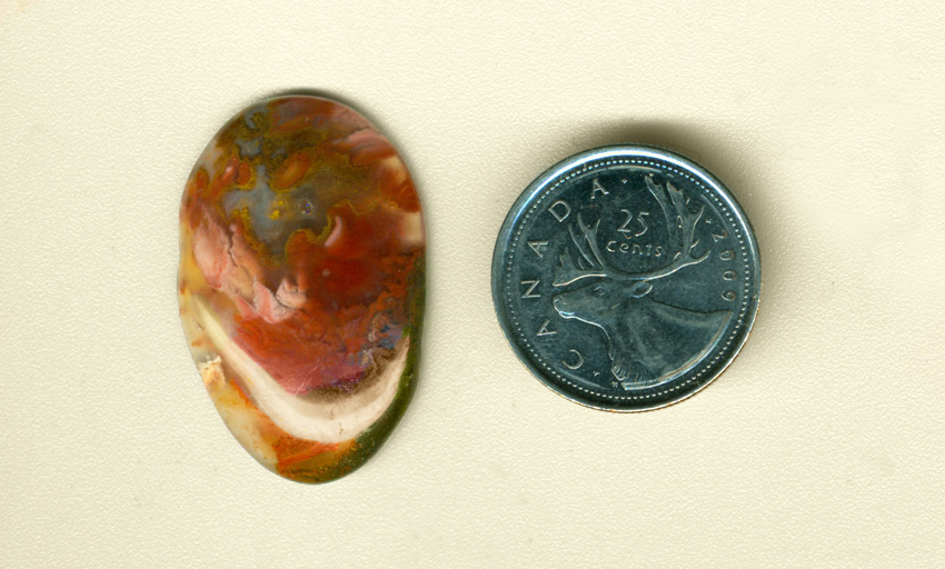 A freeform Mexican Flame Agate cabochon with red, yellow and pink wavy patterns on a background of green moss.