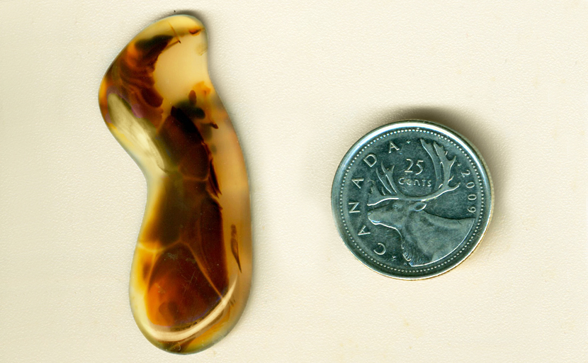 Freeform polished Montana Agate cabochon, with reddish-brown swirls running over a yellow background.