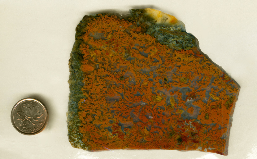 A slab of jasper packed with red and orange coral patterns, surrounded on two edges with green and yellow. 