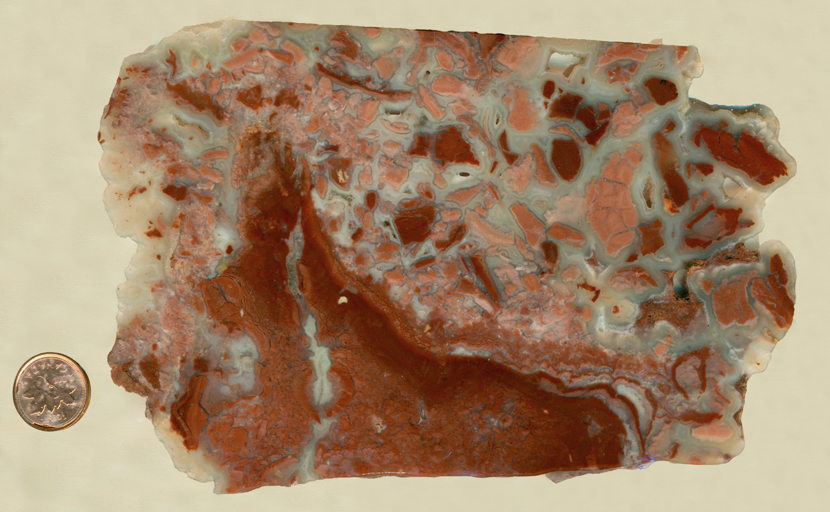 A slab of Youngite from Wyoming, with red and pink opaque jasper all broken up and pale agate formed in the cracks. 