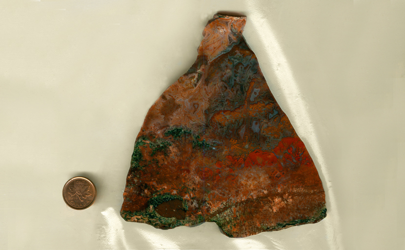 A vaguely triangular slab of Texas Plume Agate from Alpine, Texas, with red, green and blue plumes on an orange background, arranged in bright swaths and tendrils.