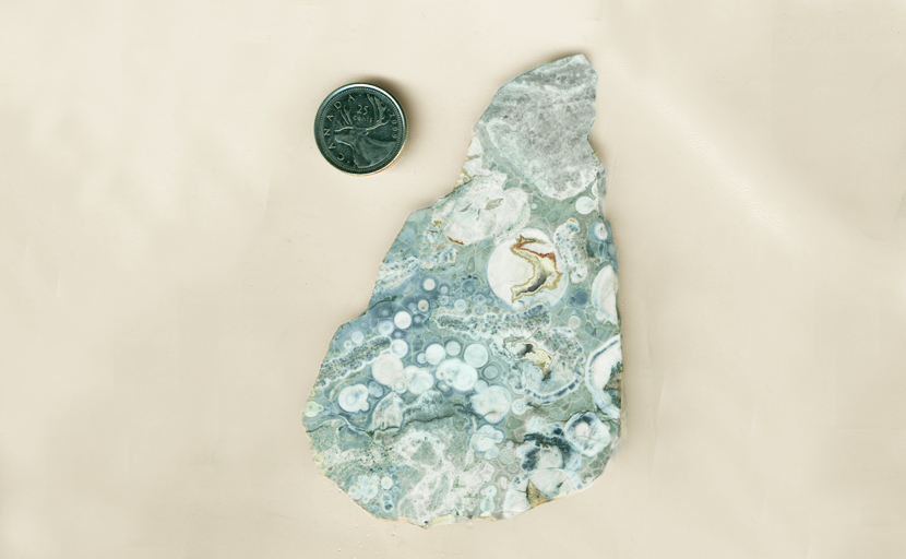 Blue-gray Rhyolite, full of semi-circular light-colored patterns and other, less regular shapes.