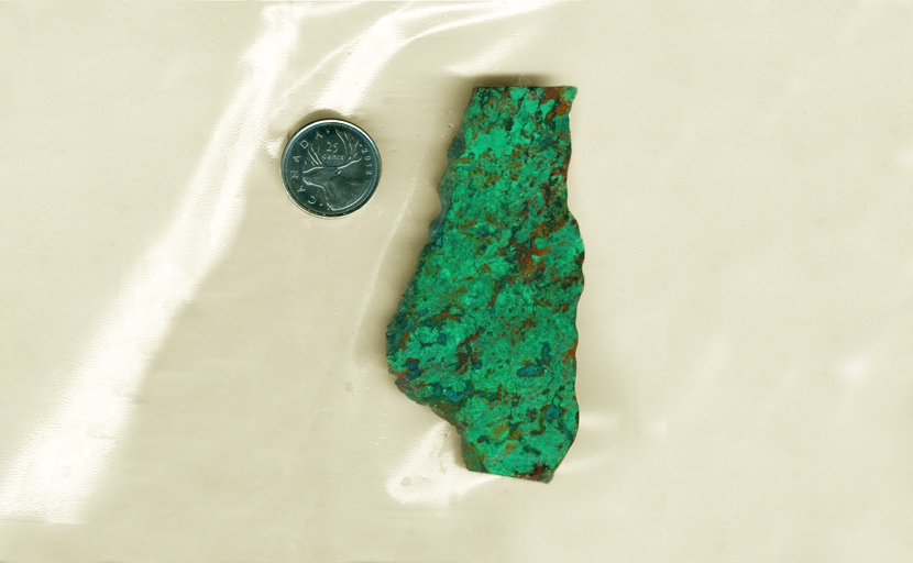 A bright green, blue and red slab of Chrysocolla from Arizona, patterned like leaves and ponds.