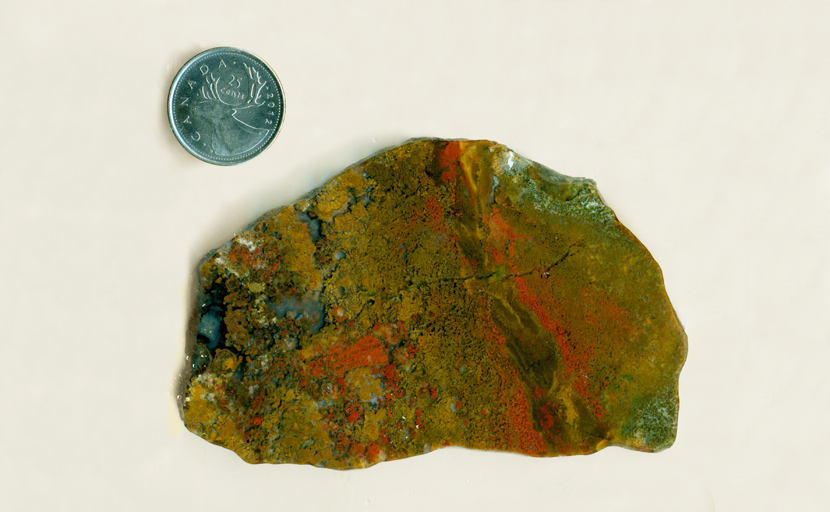 Slab of Moss Agate from Antelope, Oregon, bean-shaped, with moss inclusions of bright red, yellow and green.