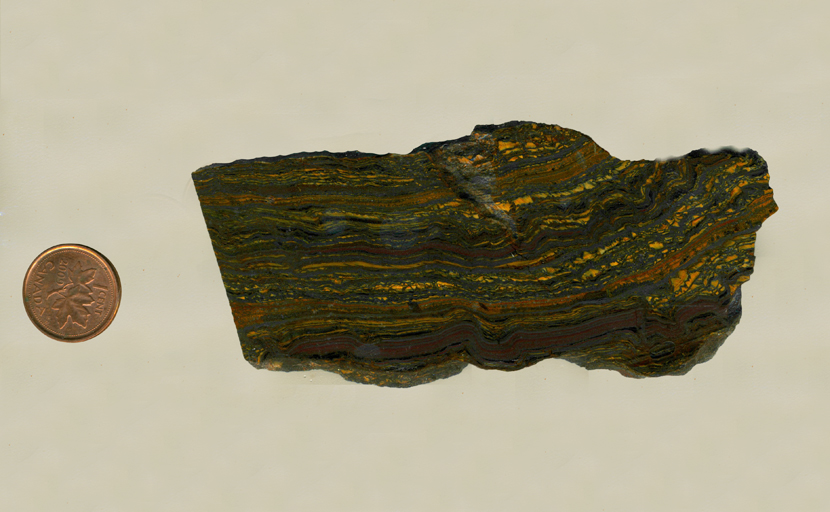 A dark, dense stone, lined with bright yellow, green and reddish-brown.