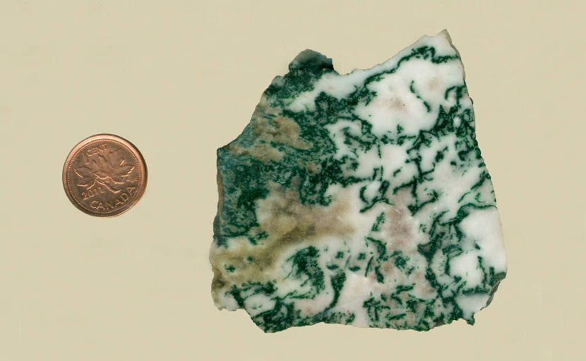 Bright green moss patterns over a white background in a chalcedony from India.