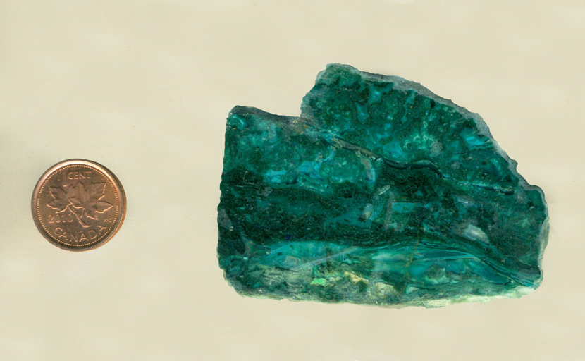 A slab of blue-green Agatized Chrysocolla (Chrysocolla-in-Chalcedony) with translucent patterns of swirls and ferns.