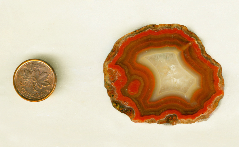 A red slab of Coyamito Agate from Mexico with a strong fortification pattern dominating most of its surface.