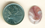 Strawberry-colored flowing lines and white leaves in a Mexican Laguna Agate cabochon.