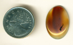A gold- and smoke-colored cabochon of Montana Agate, with dark inclusions.