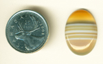 White-striped orange and caramel-colored cabochon of Uruguay Agate.