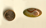 Calibrated polished oval Fairburn Agate cabochon from Nebraska or South Dakota, with filigree patterns of red, white and blue, around a solid fortification of red, on a brown background.