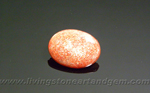 Calibrated polished Indian Sunstone cabochon, with golden-colored orange and red spangles, bright in the sunlight.