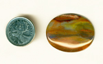 Polished cabochon of Petrified Wood from Arizona, with orange, blue, red and green colors spread across a wooden pattern.