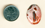 Cabochon of Crazy Lace Agate from Mexico, with a pink series of fortifications and red-lined dark inclusions.