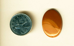 Cabochon of Bruneau Jasper from Idaho, with browns and cream colors like melted caramel.