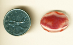 Raspberry-red fortification pattern in a clear cabochon of Laguna Agate from Mexico.