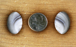 Matching set of 2 Botswana Agate cabochons from Africa, with lines of purple and gray that fan to the side like wings.