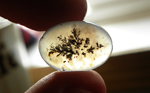 Dark spreading dendrites in bright Eagle Rock Agate from Oregon, with warm-colored clear details all around the darker patterns.