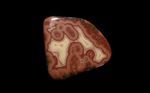 A freeform Fairburn Agate from Nebraska or South Dakota, with concentric red lines, the occasional tendril of green, and a background the color of cream.