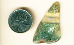 Freeform polished Ochoco Green Moss Agate, with floating moss inclusions in clear chalcedony.