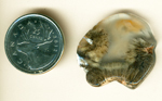 Clear Laguna Agate from Mexico with three fans of fine sagenitic needles and an orange fortification pattern.