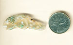 Blue-green moss inclusions in a clear, freeform Ochoco Moss Agate from Oregon.