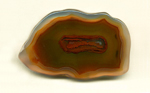 A freeform Coyamito Agate from Mexico, brown and clear, with a brighter red central membrane shape.