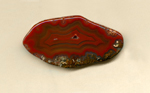 A freeform Coyamito Agate from Mexico with bright, strong red fortifications resting on a blanket of green moss patterns.