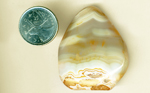 Honey and orange colors in a big tumble-polished Fairburn Agate from Nebraska or North Dakota.