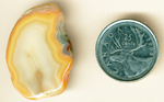 White and gold pattern in a freeform polished Moctezuma Agate from Mexico, with details of red and green.