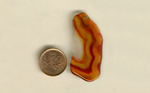 Freeform polished Laguna Agate from Mexico, with a half pattern of orange, yellow and russet brown rippling colors.