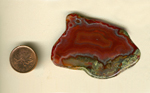Freeform polished Laguna Agate from Mexico, with a strong reddish brown fortification pattern dominating its surface, ringed with a white wispy line and with a layer of green moss along the bottom.
