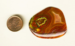 Freeform polished Laguna Agate cabochon from Mexico, with a bright yellow and red pattern on the right, and muted reds, browns, and pinks on the rest of the surface.