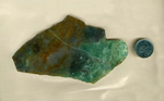 A slab of Hampton Moss Agate from Oregon, with orange and green colors and a variation in lightness across its face.