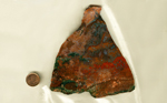 A vaguely triangular slab of Texas Plume Agate from Alpine, Texas, with red, green and blue plumes on an orange background, arranged in bright swaths and tendrils.
