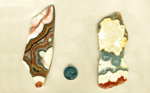 A set of 2 cactus Lace Agate slabs, full of high-contrast stripes of blue, white, red and yellow colors.