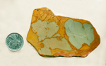 Three blue sections in an otherwise orange-yellow slab of Cripple Creek Picture Jasper from Oregon.