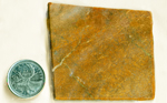 Gold-colored reflective fibers on top of an orange background in a square slab of Fire Jade from Wyoming.