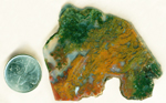 Orange, green, red and yellow moss in a slab of Maury Mountain Moss Agate from Oregon.